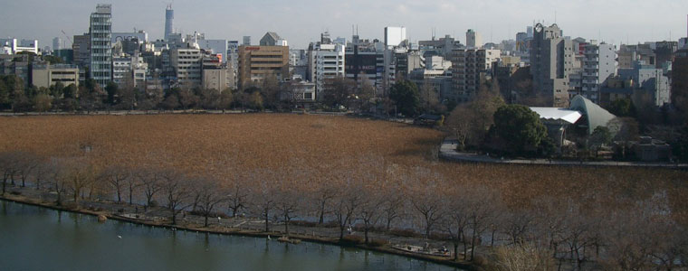 �s�E�r�C���[�W