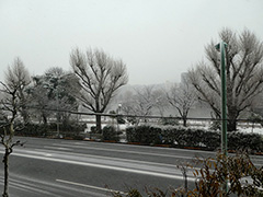 �ԑ�����