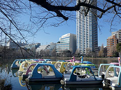 �s�E�r���猩�铌�V�g