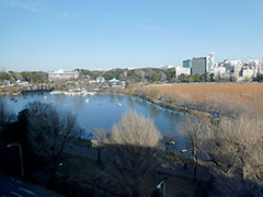 ���V�g���猩��s�E�r